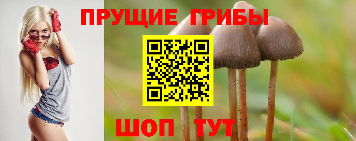 Псилоцибиновые грибы MAGIC MUSHROOMS Рязань